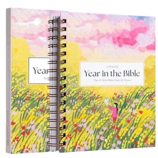 A Beautiful Year In The Bible (Book)
