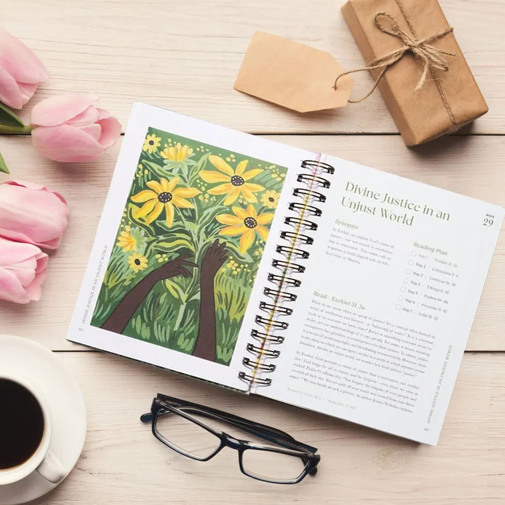 A Beautiful Year In The Bible (Book)