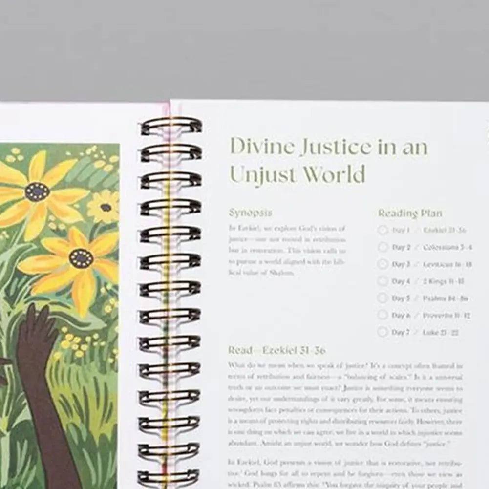 A Beautiful Year In The Bible (Book)